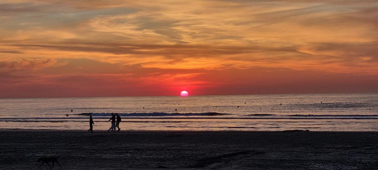 Superbe Studio Avec Une Magnifique Vue Sur La Mer. La Panne Extérieur photo